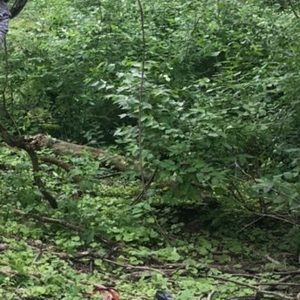 Meet your Posher, Olga